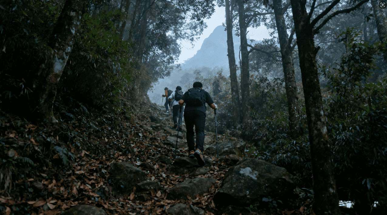 极光网络加速器下载安装步骤详解